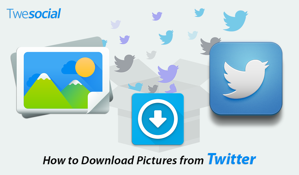 How to Download Pictures from Twitter